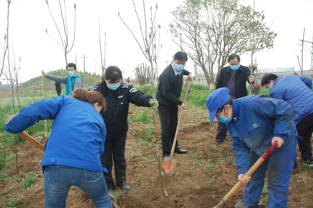 集團公司組織開展植樹節植樹活動